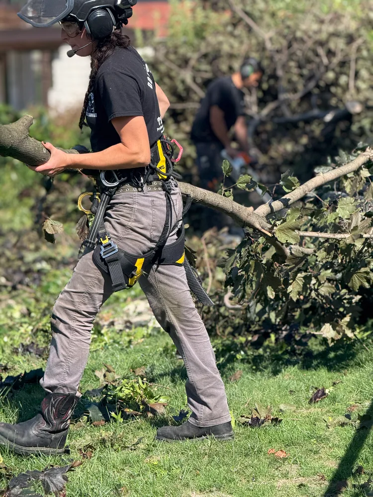 Down to Earth Tree Service team in Olmsted Township