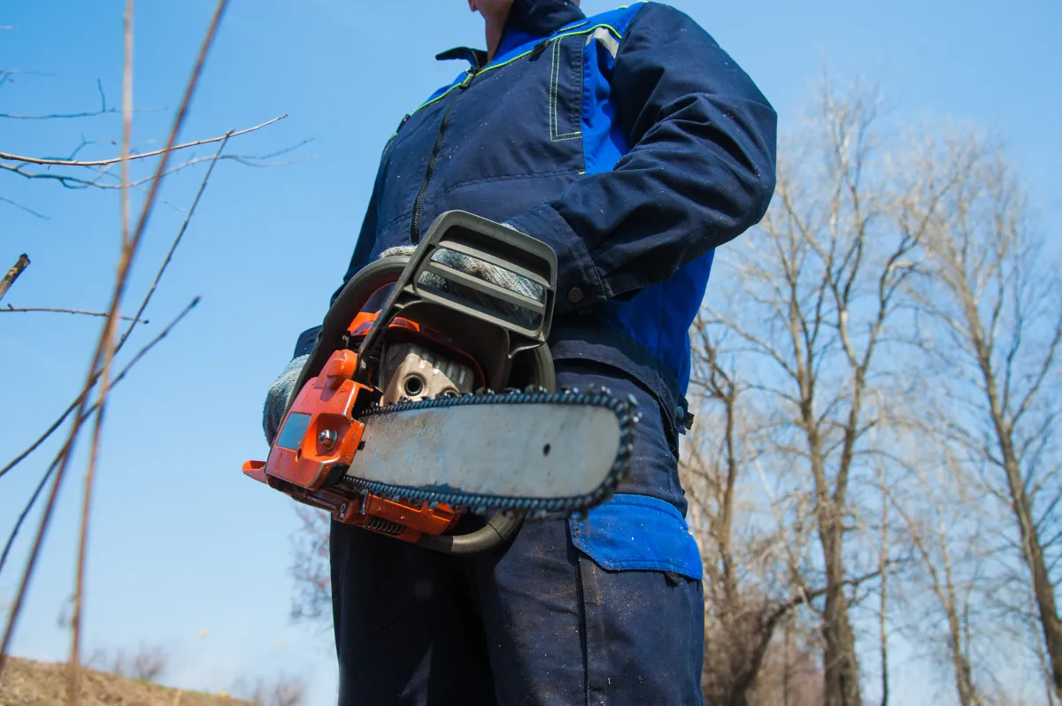 Scott's Stump Grinding team in Metairie
