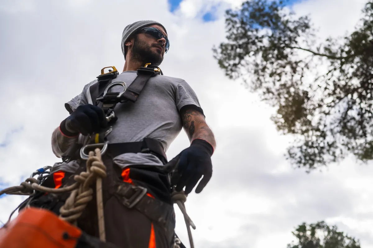 Inland Empire Tree Services team in Lake Elsinore